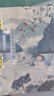 漢狀元古詩(shī)詞字帖1-6年級(jí)唐詩(shī)宋詞臨摹練字帖小學(xué)生每日一練描紅成人楷書練字鋼筆硬筆書法練字本 【1-3年級(jí)】共75首古詩(shī)詞 曬單實(shí)拍圖
