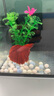 亞峰超白魚(yú)缸小型客廳小魚(yú)缸生態(tài)玻璃缸斗魚(yú)金魚(yú)缸家專(zhuān)用桌面造景全套 15CM缸+防跳缸蓋子（送大禮包） 曬單實(shí)拍圖