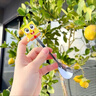 開(kāi)億七夕海綿寶寶陶瓷馬克水杯子實(shí)用咖啡杯生日禮物送男女生朋友高級 海綿寶寶 350ML 曬單實(shí)拍圖