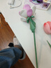 費米兼容樂高兒童鮮花坊積木男女孩拼裝玩具生日禮物花束含笑花S2251 曬單實拍圖