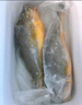 尚致冰鮮黃花魚(yú)青島新鮮大黃魚(yú)生鮮黃魚(yú)鮮活冷凍特大深海魚(yú)海鮮禮盒 【精美禮盒8斤】2斤*4條黃花魚(yú) 曬單實(shí)拍圖