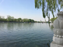 御佰草御佰草老北京足貼艾草足貼濕氣太重拔毒熟睡睡眠足底腳貼 老北京足貼10貼 曬單實拍圖