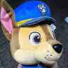 汪汪隊立大功（PAW PATROL）汪汪隊毛絨玩具狗狗天天玩偶公仔娃娃擺件男女孩生日禮物 經(jīng)典款-阿奇公仔【需選尺寸】 中號-坐高22.9CM 曬單實拍圖