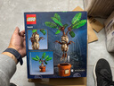 樂(lè)高（Lego）哈利波特系列76433曼德拉草兒童拼搭積木玩具禮物 曬單實(shí)拍圖