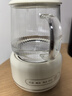 多功能花茶壺迷你養生壺家用辦公室小型養生杯煮茶熱牛奶電燉杯 智能款電燉杯 0.6L 曬單實(shí)拍圖