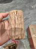 百潮盛巴西木水養(yǎng)幸運(yùn)木開花格魯特樹人好養(yǎng)綠植室內(nèi)水培懶人花植物盆栽 巴西木10厘米單顆【帶牙發(fā)貨】 曬單實(shí)拍圖