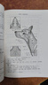 小動(dòng)物針灸學(xué) 陳武 編 動(dòng)物醫學(xué)類(lèi)專(zhuān)業(yè) 十四五 規劃教材 獸醫針灸基本技術(shù) 犬貓針灸書(shū)籍 中國農業(yè)出版社 9787109302402 曬單實(shí)拍圖