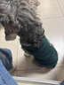 咚寵樂(lè )貓咪衣服寵物狗狗衣服泰迪比熊中小型幼犬春季保暖服飾學(xué)院風(fēng)綠L 曬單實(shí)拍圖