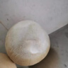 泰國(guó)進(jìn)口牛奶椰皇椰青孕婦水果椰汁奶香椰皇果濃椰子椰子蛋香水椰 4個(gè)大果裝【450-500G】 曬單實(shí)拍圖