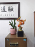 春錦秋鯉龍擺件工藝品全銅博古架客廳玄關(guān)酒柜辦公室公司喬遷開業(yè)禮物 【順豐】YTJ大號(hào)霸王龍配大理石 曬單實(shí)拍圖