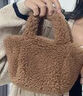 芙玖兔出游秋冬季超火小眾羊羔毛包包女士2025新款百搭斜挎包手提毛毛包 棕色 曬單實(shí)拍圖