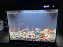 森森金麟超白智能魚(yú)缸小型桌面免換水生態(tài)魚(yú)缸一體缸自循環(huán) 【森森金麟】380 純黑尊享版標配 曬單實(shí)拍圖