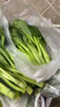 新鮮廣東菜心2斤 時(shí)令綠色蔬菜農(nóng)家甜菜心菜薹 滿5件包郵 2斤 曬單實(shí)拍圖