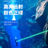 燈火匠潛水綠激光燈強(qiáng)光手電遠(yuǎn)射水下電筒防水激光筆航海水里專(zhuān)用激光筆 紫光潛水激光燈 曬單實(shí)拍圖