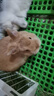 YEE凍干兔糧幼成年兔子飼料糧食荷蘭豬苜蓿干草磨牙寵物兔專用品 凍干盛宴全價(jià)兔糧2.2kg大包裝 曬單實(shí)拍圖