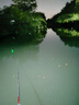 陰天水無(wú)影全綠電子漂高靈敏醒目魚(yú)漂超亮夜釣鯽鯉魚(yú)咬鉤變色浮漂 FW-02【吃鉛2.0g】9目陰天水無(wú)影 變色二支 2粒電池 曬單實(shí)拍圖