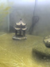 匠心坊微景觀(guān)魚(yú)缸造景裝飾太湖石小橋亭子中國風(fēng)花園盆景裝飾小擺件 0109月到風(fēng)來(lái)亭 曬單實(shí)拍圖
