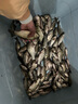漁藝全能腥和全能香魚(yú)餌料大鯽鯉魚(yú)草鳊翹嘴野釣水庫釣魚(yú)打窩料池塘 全能腥+全能香【共2包裝】 曬單實(shí)拍圖