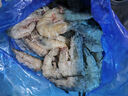 【青島大蝦】新鮮超大海蝦鮮活冷凍海捕大蝦白蝦對蝦海鮮水 20/30規格2.8- 3斤(凈重)  新蝦2.8-3斤【鮮捕現發(fā)】 曬單實(shí)拍圖