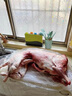 希誘正宗新疆羊肉羊排新鮮現(xiàn)殺阿勒泰大尾羊羔羊烤全羊羊腿肉送禮禮盒 全羊整只28斤左右(送禮佳品) 曬單實(shí)拍圖