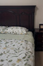 Harbor House全棉貢緞四件套美式純棉環(huán)?；钚杂』壹彺矄伪惶状财诽准嗀rbor Arbor-300T全棉貢緞 1.8米床 床單款 （被套220*240cm） 曬單實拍圖