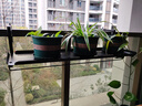游復吟陽(yáng)臺花架掛式花盆掛架陽(yáng)臺護欄花架鐵藝掛式花盆架陽(yáng)臺欄桿懸掛置 90CM長(cháng)【貴族黑】 冷軋板(碳鋼) 曬單實(shí)拍圖