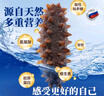 薩哈林進(jìn)口俄羅斯野生海參 鮮燉即食海參3斤30頭 海鮮水產(chǎn)禮盒 曬單實(shí)拍圖