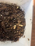 愛你一萬(wàn)年鈴蘭帶芽球根種球鈴蘭花苗濃芳香多年生室內(nèi)外陽(yáng)臺(tái)辦公室盆栽耐寒 精選帶芽10棵【適合15厘米花盆】 曬單實(shí)拍圖
