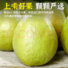 菲農(nóng)廣西芭樂紅心番石榴新鮮水果5斤當(dāng)季軟糯奶油胭脂紅巴樂大果低糖3 3斤 順豐速發(fā) 曬單實(shí)拍圖