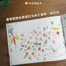 一園青菜成了精 信誼繪本原創(chuàng)圖畫書系列 兒童讀物 曬單實(shí)拍圖