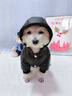 嬉皮狗（hipidog）寵物狗狗石墨烯黑金系列四腳羽絨服博美小型幼犬秋冬款衣服0363 雷奧黑 L （建議體重8-11斤） 曬單實(shí)拍圖