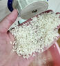 一點(diǎn)金打米機(jī)小型家用碾米機(jī)多功能磨米機(jī)全自動(dòng)新款水稻鮮米機(jī)大米去蟲(chóng) 白色 曬單實(shí)拍圖