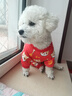 嬉皮狗（hipidog）小狗狗防塵褲遛彎褲秋冬防脫防蟲保暖四腳褲腳套泰迪小型幼犬衣服 賈斯灰連腳【防水防臟】 XL 建議體重11-13斤內(nèi) 曬單實(shí)拍圖