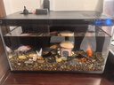 小米米家智能魚(yú)缸小型客廳辦公室桌面一鍵換水遠程喂食超白玻璃生態(tài)缸 小米智能魚(yú)缸+蘑菇屋造景 曬單實(shí)拍圖