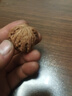 老農(nóng)哥小眾賭青皮獅子頭官帽雞心虎頭文玩核桃新果下樹帶皮自開文玩核桃 老款悶尖磨盤獅子頭 50-52mm一對(duì) 曬單實(shí)拍圖