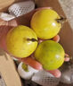 周小貝 海南青密9號黃金百香果新鮮現摘大果甜多汁黃金果黃色西番蓮水果 5斤裝 曬單實(shí)拍圖
