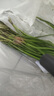 京蔻迪紫光燈鑒定蔬菜專用藍礬光波爾多液熒光劑365nm紫外線農(nóng)藥檢測筆 頂配30W蔬菜水果農(nóng)殘覆蓋秒檢測 曬單實拍圖
