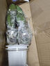 蝴蝶蘭花苗帶花劍帶花苞盆栽蘭花大苗客廳室內(nèi)植物花卉四季 藍(lán)蝴蝶 精品精品【帶兩個花劍】透明原盆 曬單實拍圖
