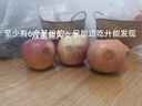 慶陽(yáng)蘋(píng)果 QINGYANG APPLE寧縣蘋(píng)果新鮮脆甜蘋(píng)果人類(lèi)第四個(gè)蘋(píng)果嘎啦蘋(píng)果8枚/12枚/5斤 10斤帶箱裝（±0.3）75-85mm左右 曬單實(shí)拍圖
