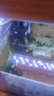 森森 森森魚缸原裝水泵HQJ JP 230G5007009001200G水泵三合一抽過濾泵 HQJ-500G 2.5W 黑色 單泵頭 曬單實拍圖