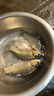 川澤輕口小碎目鯽魚(yú)漂高靈敏醒目納米浮漂野釣鯽鯉魚(yú)抗走水頓口浮標 NA04-3【19目小碎目】吃鉛2.1g 高靈敏小碎目單支裝 曬單實(shí)拍圖