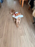嘻哈鴨寵物唐裝狗狗秋冬裝貓咪節日喜慶服飾小型犬泰迪博美比熊新年衣服 橘粉色唐裝 S-建議4-6斤 曬單實(shí)拍圖