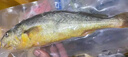 舟山海鮮大禮包 海鮮禮盒 節(jié)日送禮 C款888海鮮禮盒6.2kg 海產(chǎn)禮盒 曬單實(shí)拍圖