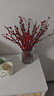 開(kāi)時(shí)果 澳洲臘梅水培鮮枝真花帶花發(fā)貨 過(guò)年花干枝冬季鮮切年宵花卉盆栽 A級紅色60-80cm20枝+新年掛件6個(gè)+保鮮劑 曬單實(shí)拍圖
