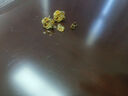 瑞飄耳釘女新款豆豆彎鉤金黃色耳飾送閨蜜禮 如意結(jié)耳釘 1.0克 曬單實(shí)拍圖