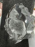 MALERAS瑞典進(jìn)口老鷹水晶玻璃藝術(shù)擺件創(chuàng)意北歐海雕書房家居裝飾輕奢禮品 透明白頭海雕-小號(hào)【55*65mm】 曬單實(shí)拍圖