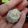 天然沙漠玫瑰黃鐵礦貓礦愚人金/巖/石/頭礦石原石晶體標本/盒擺件 沙漠玫瑰2.3-3cm 曬單實(shí)拍圖