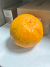 鑫果滋【順豐】福建永春蘆柑 福建特產(chǎn)甜蘆柑椪碰柑新鮮水果送禮柑桔橘 凈9斤 中果 約70mm 【順豐】 永春蘆柑 曬單實(shí)拍圖