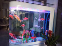 華康子彈頭魚(yú)缸小型家用一體2025新款免換水懶人玄關(guān)屏風(fēng)隔斷水族箱 A款銀拉絲 長(cháng)100*寬40*高138cm 曬單實(shí)拍圖