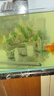 瑾倫大魚(yú)缸假山造景仿真石頭套餐水族箱裝飾品躲避洞屋擺件瀑布流沙 深灰色5-白玉群峰山 曬單實(shí)拍圖